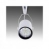 Foco Carril LED 12W 1200Lm 30000H Taylor Branco Branco Frio - PL218014-CW-W - 8435402512158