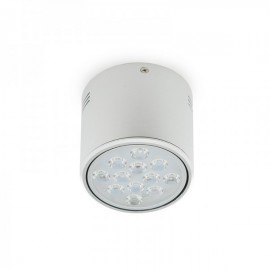 Downlight Montado em Superfície LED Alumínio 12W 1200lm 30000H Branco Frio - HO-DOWNSUP12W-A-CW - 8435402504900