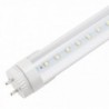 Tubo de LED 60 cm T8 Cabeça Rotativa 10W 1000 lm 30000H Transparente Branco Quente - GR-T8RDDG10W-WW-T - 8435402504405