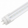 Tubo de LED 90 cm T8 Cabeça Rotativa 14W 1400 lm 30000H Transparente Branco Quente - GR-T8RDDG14W-WW-T - 8435402504467