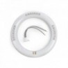 Tubo de LED Circular 22,5 cm T8 12W 1050Lm 30.000H Branco Frio - EA-DY-CI-225-12W-CW - 8435402538325