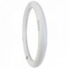 Tubo de LED Circular 30 cm T8 18W 1500Lm 30.000H Branco Quente - EA-DY-CI-300-18W-WW - 8435402538349