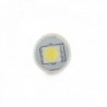 Lâmpada LED T10 5050SMD Branco - SUM-SM6529-W - 8435402548430