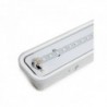 Luminária LED à Prova de Água IP65 120cm 20W 2000Lm 30000H Branco Frio - RL-IP65-20W-CW - 8435402574873