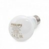 Lâmpada LED Philips E27 A60 4,5W 470Lm Branco Natural Branco - PH-8718696705490-W - 8435402588672