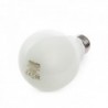 Lâmpada LED Philips E27 A67 11,5W 1521Lm Branco Natural Branco - PH-8718696739228-W - 8435402588863